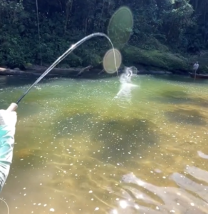 Fly fishing de toute beauté